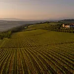 Hotel Roccafiore Wine &