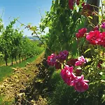 Roccafiore Wine & 4* Todi