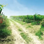 Roccafiore Wine & 4*