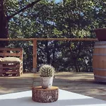 Roccafiore Wine & Todi