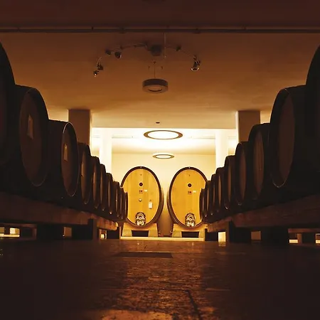 Roccafiore Wine & 호텔 4*