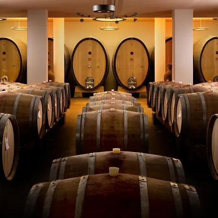 Roccafiore Wine & Hotel