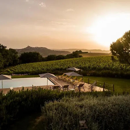 Roccafiore Wine & 토티