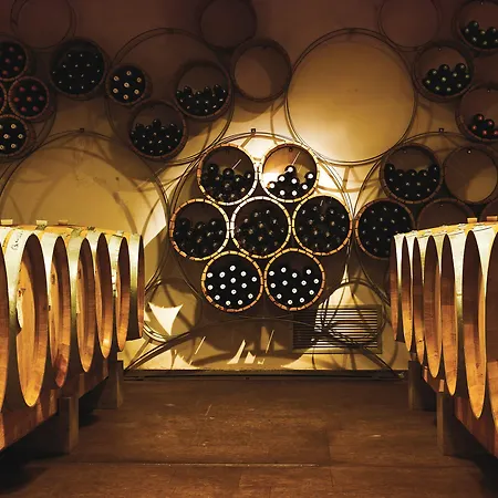 Roccafiore Wine & 호텔 4*