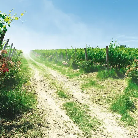 Roccafiore Wine & 4*