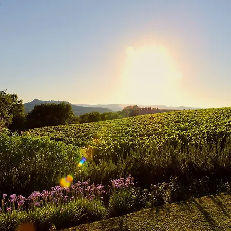 Roccafiore Wine & 4* 토티