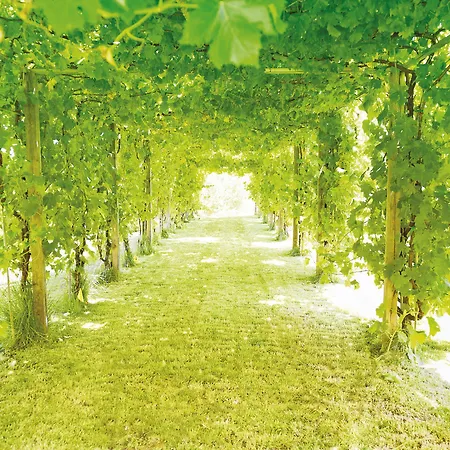 Roccafiore Wine & 토티