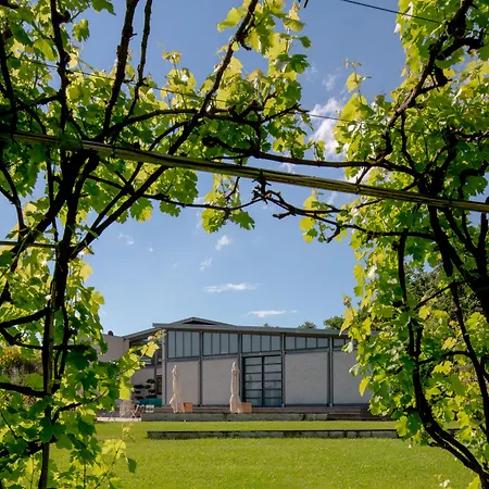 Roccafiore Wine & 호텔 4*