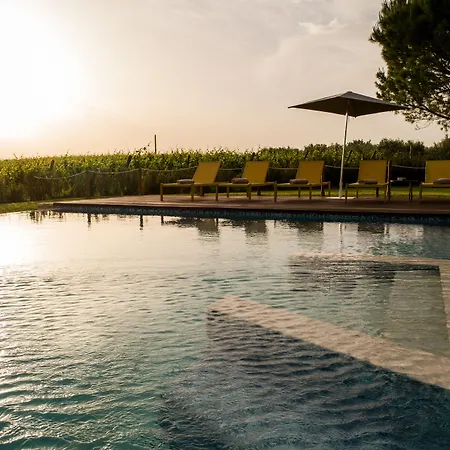 Roccafiore Wine & 4*