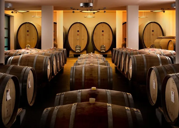 Roccafiore Wine & Hotel