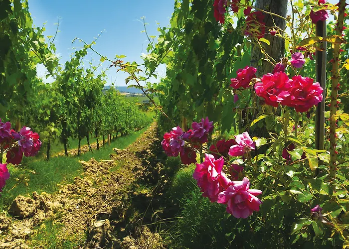 Roccafiore Wine & 4* Todi