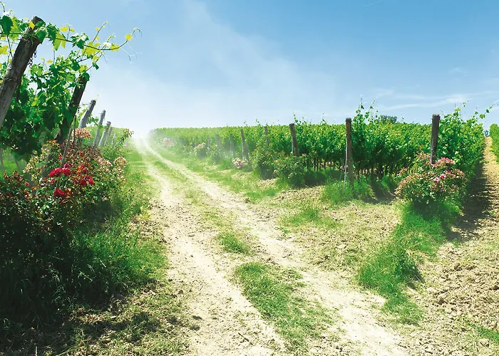 Roccafiore Wine & 4*