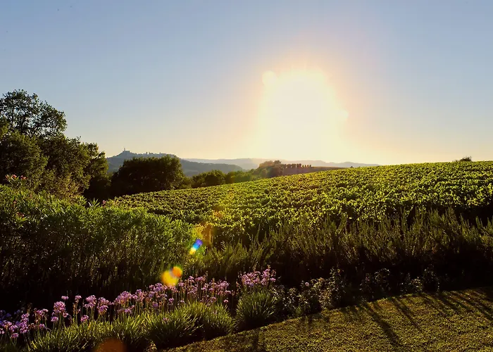 Roccafiore Wine & 4* Todi