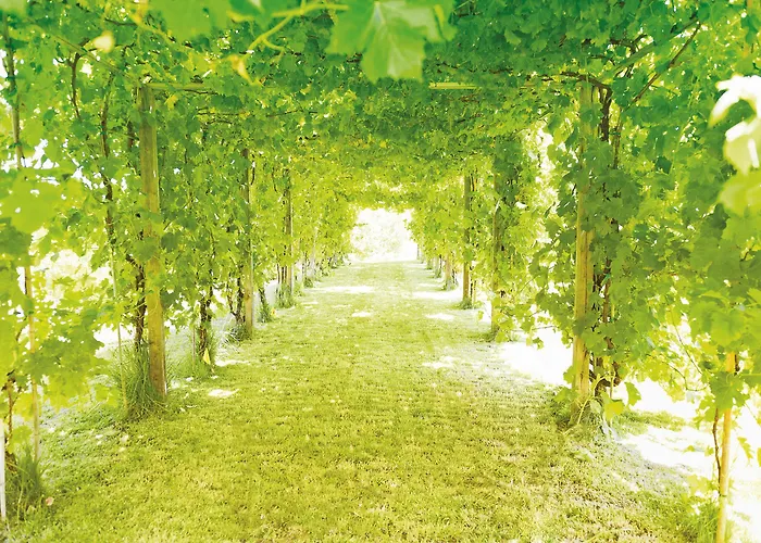 Roccafiore Wine & Todi