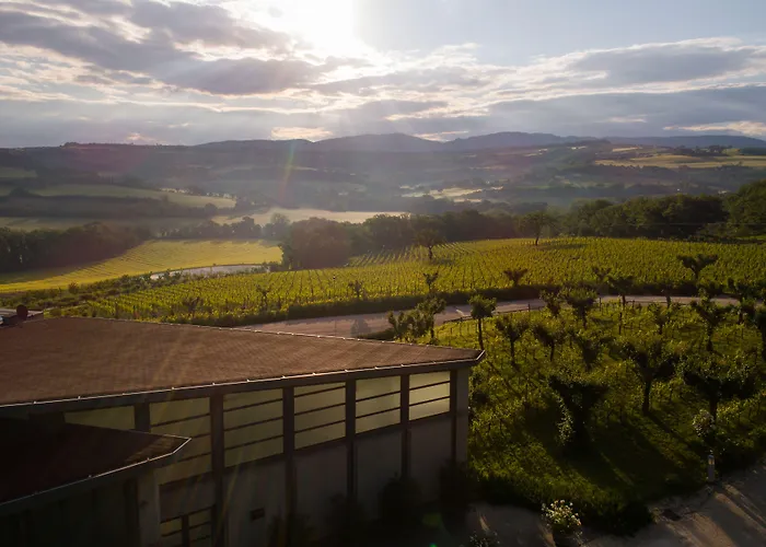 Roccafiore Wine & 4* Todi