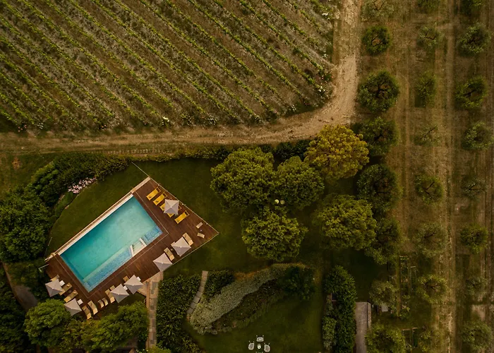 Hotel Roccafiore Wine &