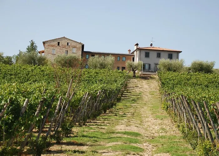 Hotel Roccafiore Wine & 4*